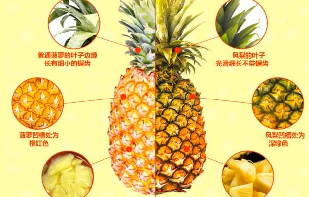 懂行人:牢记6个字,看一眼能就能区分