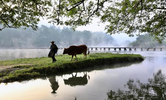 这是巧合吗?柳宗元被贬柳州,在柳江岸种柳树,一首唐诗妙不可言休闲区蓝鸢梦想 - Www.slyday.coM 这是巧合吗?柳宗元被贬柳州,在柳江岸种柳树,一首唐诗妙不可言休闲区蓝鸢梦想 - Www.slyday.coM