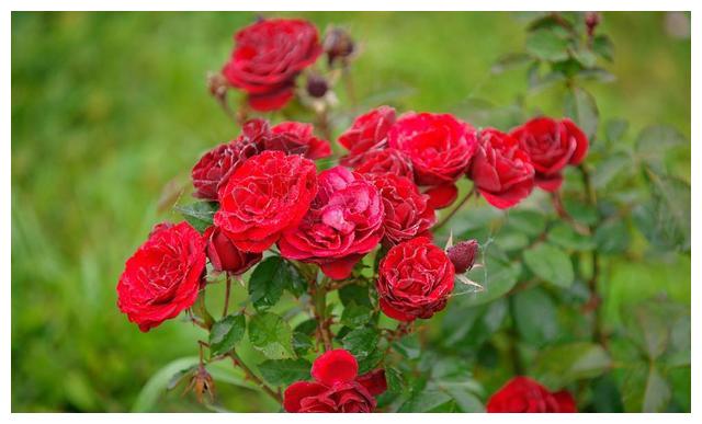 下半年运势将会阴转晴,告别霉运,迎来好运的四大星座休闲区蓝鸢梦想 - Www.slyday.coM 下半年运势将会阴转晴,告别霉运,迎来好运的四大星座休闲区蓝鸢梦想 - Www.slyday.coM