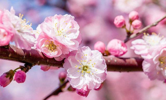汪国真很感人的一首诗,写得很是真诚,犹如一盏灯照亮了远方的路休闲区蓝鸢梦想 - Www.slyday.coM 汪国真很感人的一首诗,写得很是真诚,犹如一盏灯照亮了远方的路休闲区蓝鸢梦想 - Www.slyday.coM