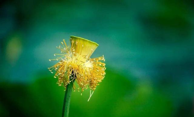 汪国真很感人的一首诗,写得很是真诚,犹如一盏灯照亮了远方的路休闲区蓝鸢梦想 - Www.slyday.coM 汪国真很感人的一首诗,写得很是真诚,犹如一盏灯照亮了远方的路休闲区蓝鸢梦想 - Www.slyday.coM