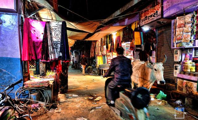 印度为什么纵容牛？允许它在街上自由溜达，连车都要给它让路休闲区蓝鸢梦想 - Www.slyday.coM