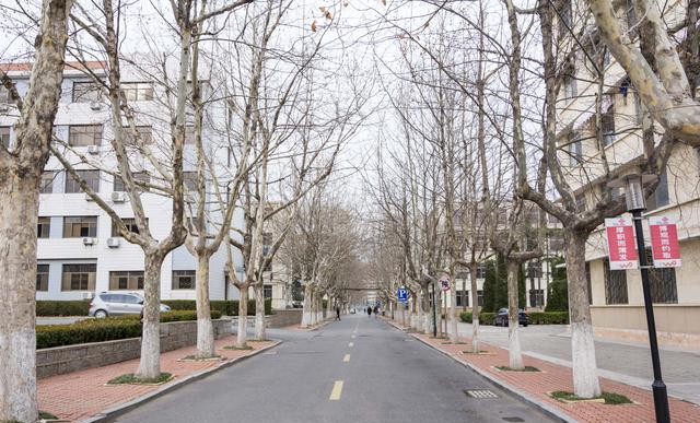 鲁东大学位于烟台市的芝罘区,这里是整个烟台的市中心,所以从各地到鲁