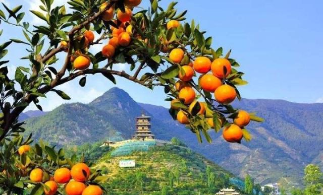 一年中哪个季节最好？苏轼28字古诗给出了自己的答案休闲区蓝鸢梦想 - Www.slyday.coM