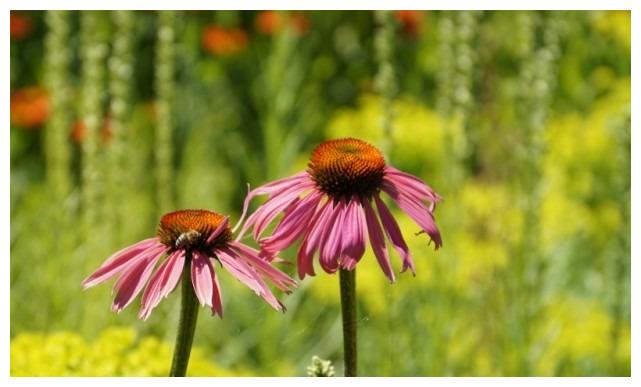 11月26日 11月30日 财运旺盛 吉星坐镇 事业如日中天的4大生肖