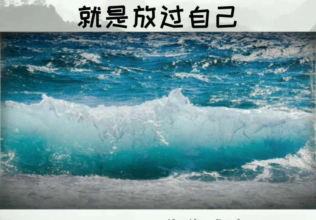 不要和现实过不去,因为你还要过下去,放过自己吧