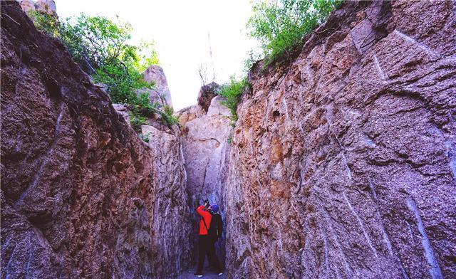 乾隆好奇心太强,为何东巡大黑山非要看铁树开花