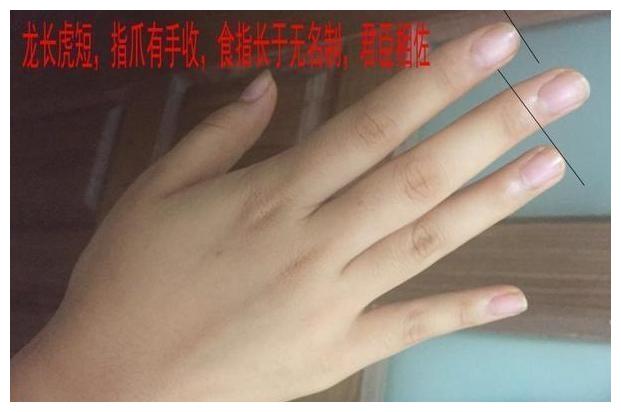 一,手指纤细细腻有光泽,食指长于无名制,君臣相佐,代表一生贵人运气好