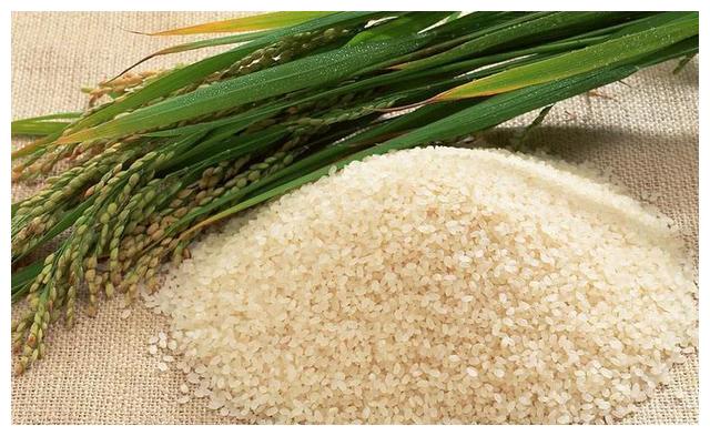 "喝着"黄河水长大的原阳大米,不抛光,不打蜡