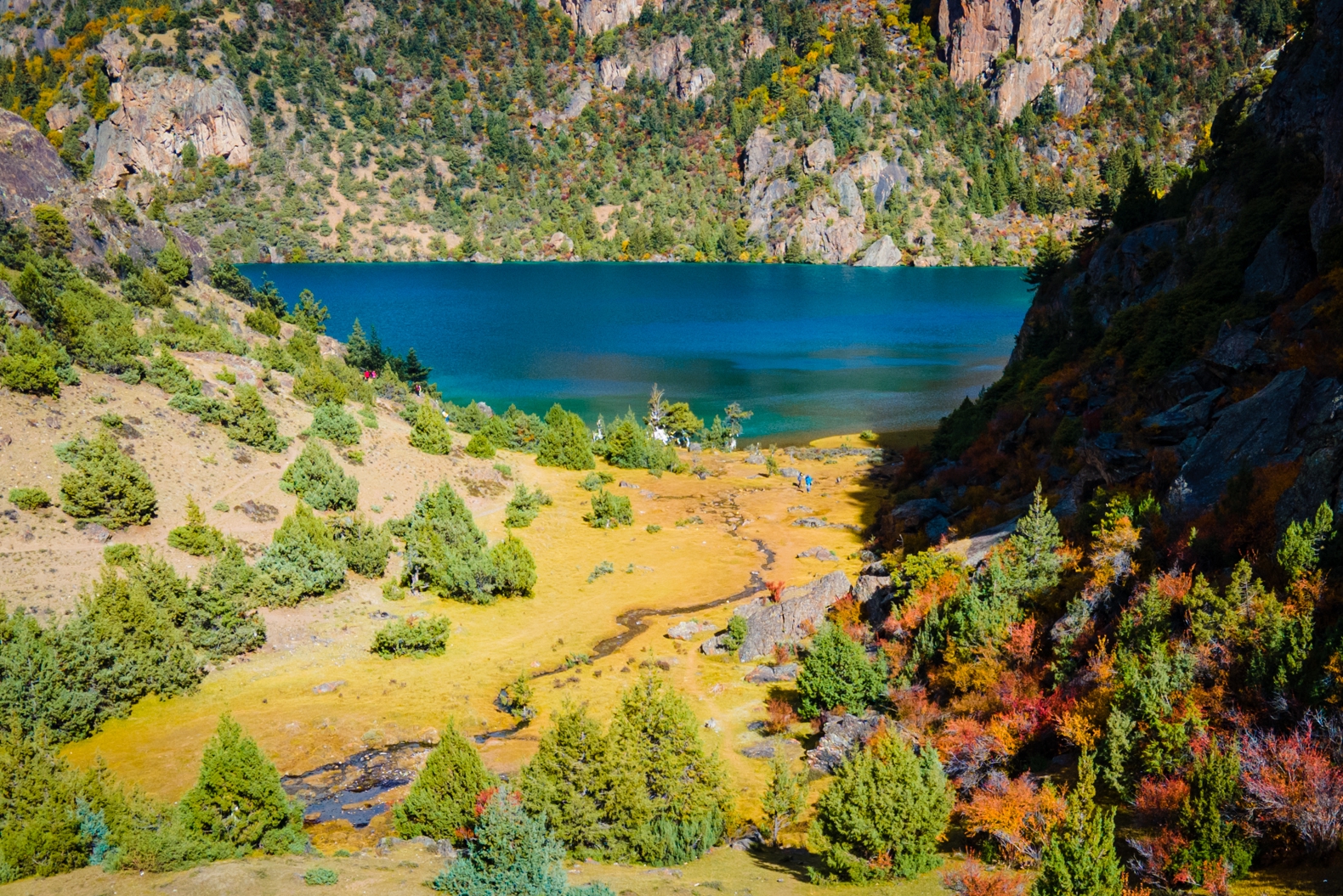 西藏边坝·三色湖 由黑湖、白湖、黄湖三种湖泊颜色组成……__财经头条