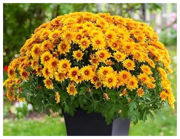 未来十天,思念倍增多,前任难忘,红娘降临,爱意复燃,复合可期休闲区蓝鸢梦想 - Www.slyday.coM 未来十天,思念倍增多,前任难忘,红娘降临,爱意复燃,复合可期休闲区蓝鸢梦想 - Www.slyday.coM