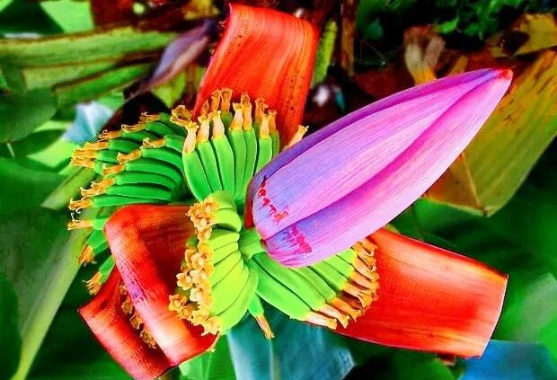 朋友亲自下厨,做了一道菜让全场愣住,没想到这东西居然还能吃的休闲区蓝鸢梦想 - Www.slyday.coM 朋友亲自下厨,做了一道菜让全场愣住,没想到这东西居然还能吃的休闲区蓝鸢梦想 - Www.slyday.coM