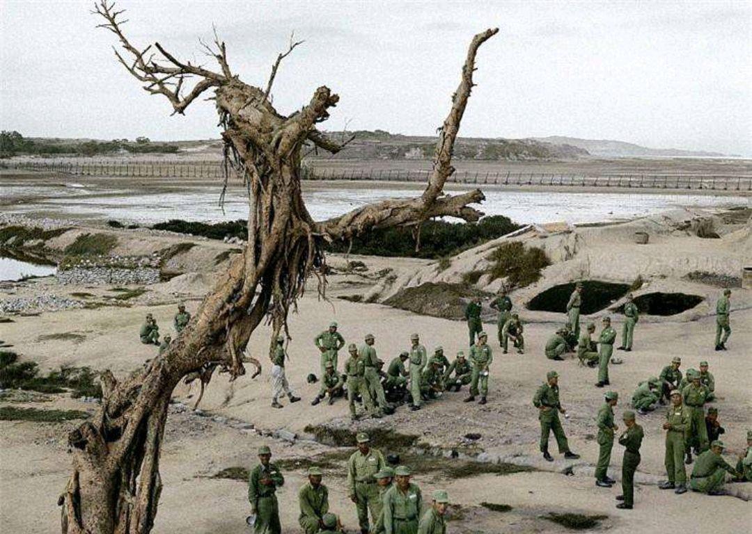 金门战役结束后,从茫茫大海游回来的胡清河,后来怎么样了?__财经头条