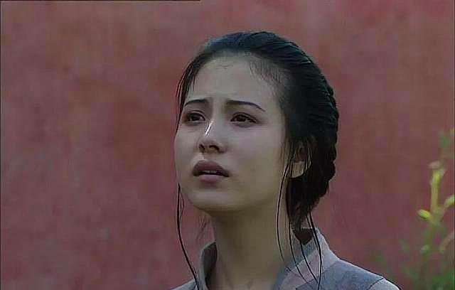 为了保太子的命,为了帮老四上位,这个老秀才后来竟然逼郑春华自杀