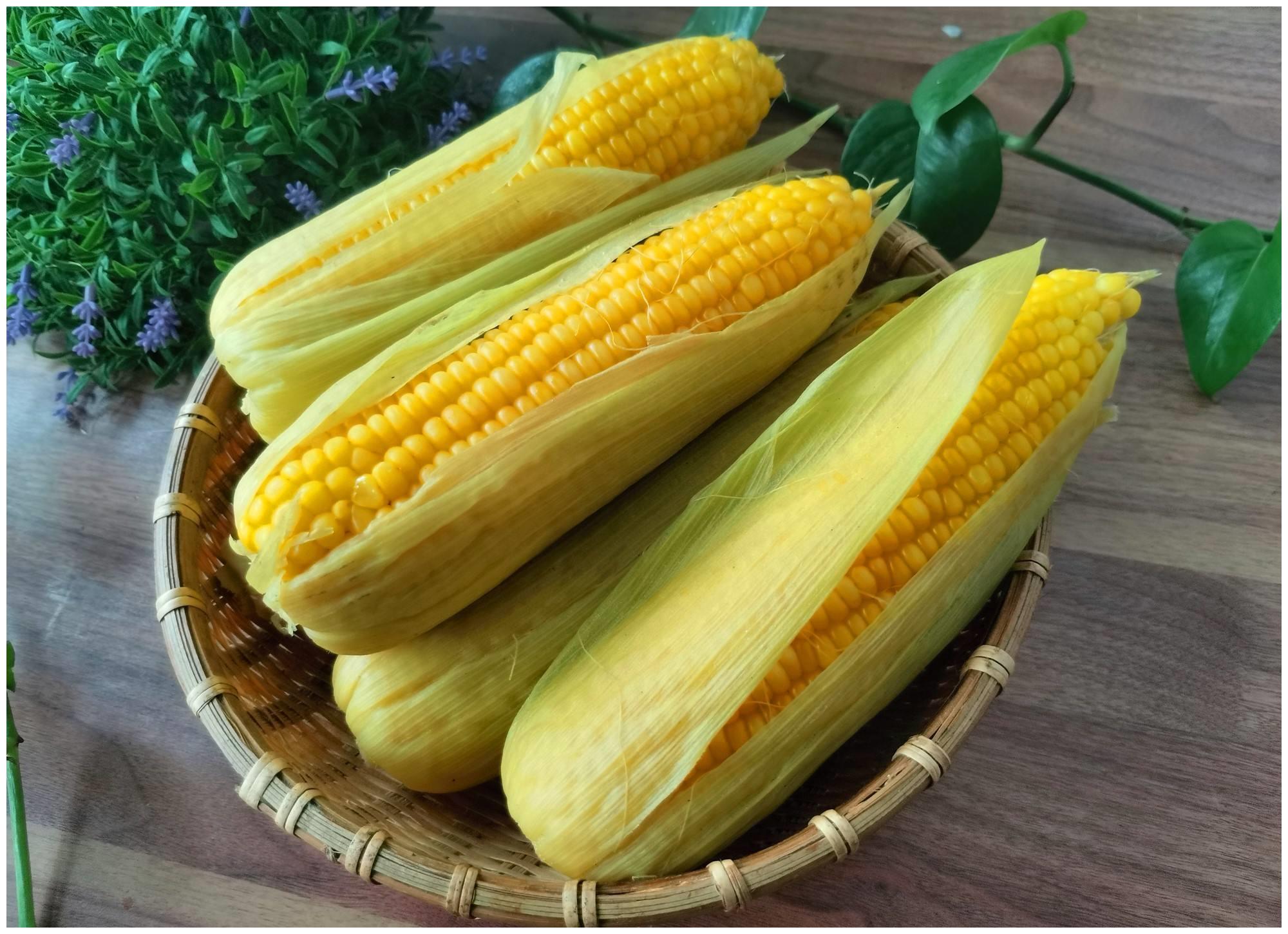 保存玉米到底先煮后冻还是先冻后煮?