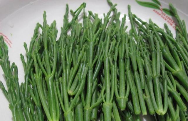 而且西洋海笋的吃法也是特别的多样,不但可以当作主菜凉拌,清炒,煲汤