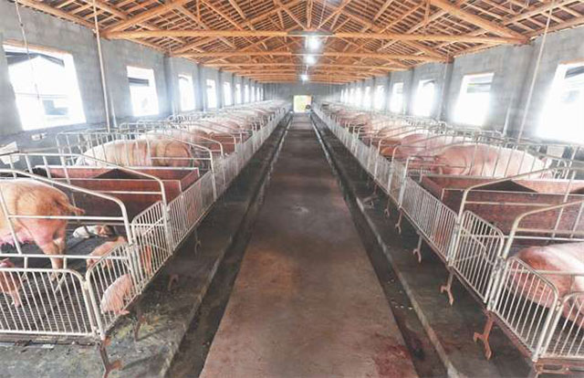 冠领代理陕西西安某养殖合作社确认强拆违法案胜诉