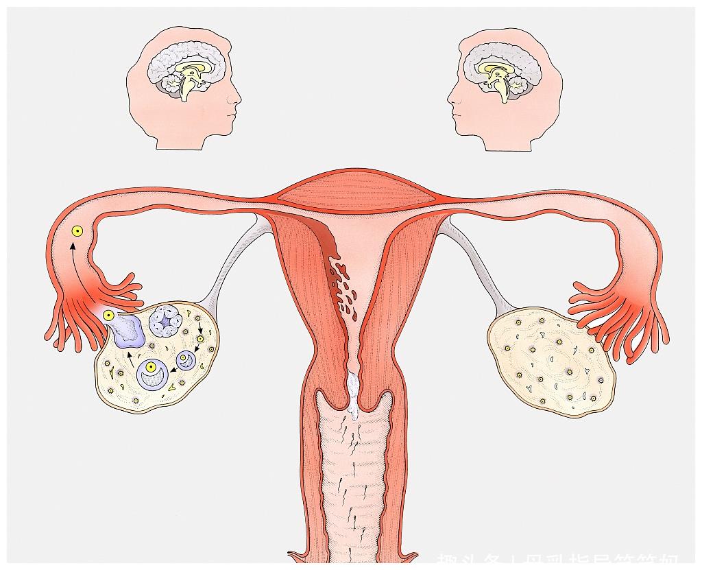 怀孕期间,这个孕周最容易出现"胎停育",孕妈要格外