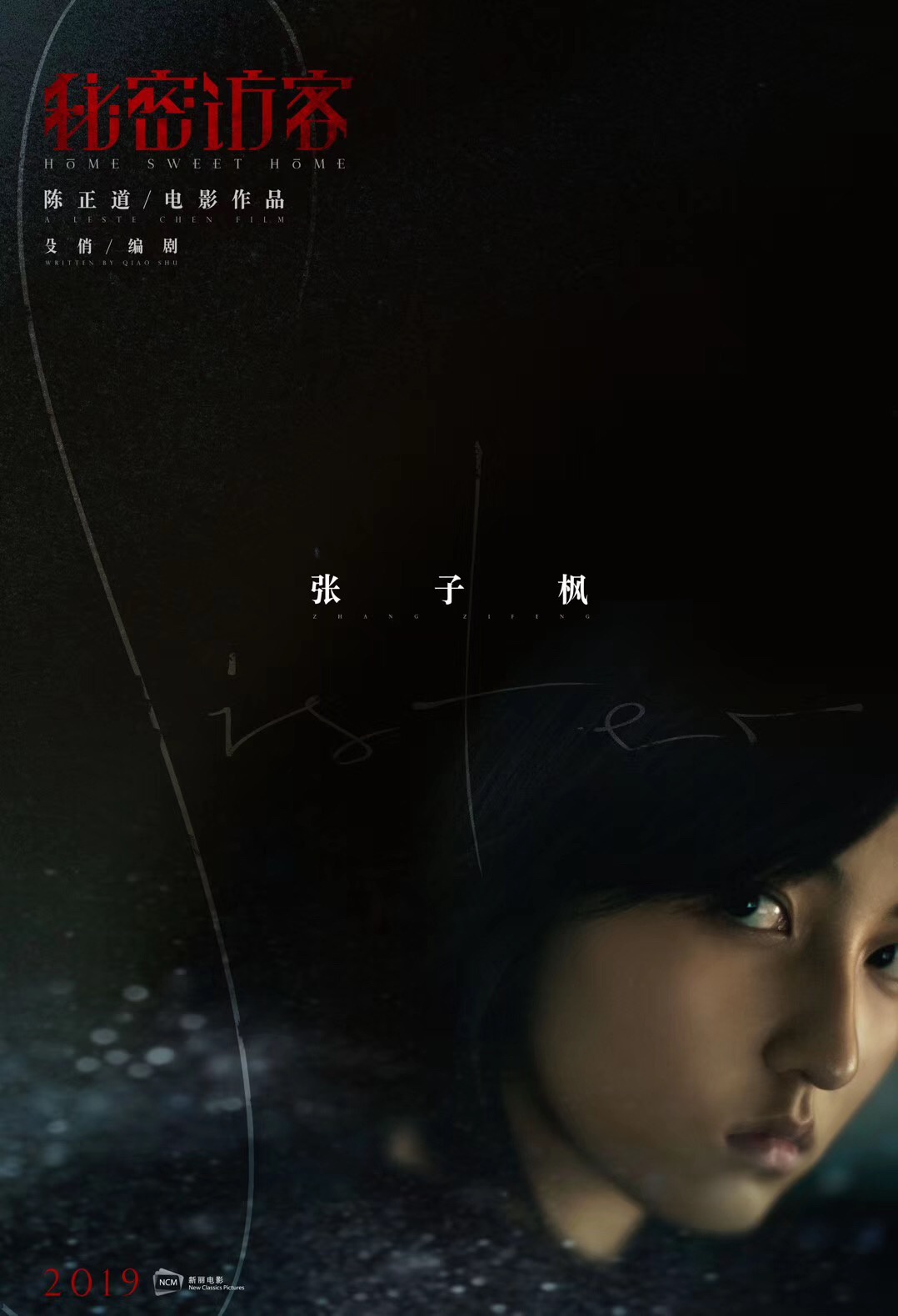 张子枫新片《秘密访客》曝首支预告 搭档荣梓杉出演神秘姐弟