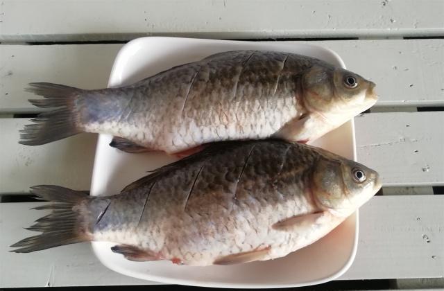 在鱼身两面各斜划3-5刀,刀深约3毫米左右,这样鲫鱼烧制时便于入味.