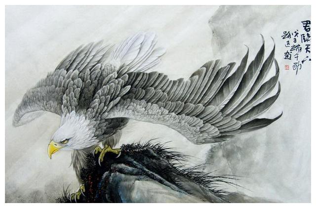 大鹏展翅恨天低