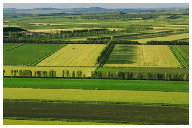 地球之最地理篇最大的平原