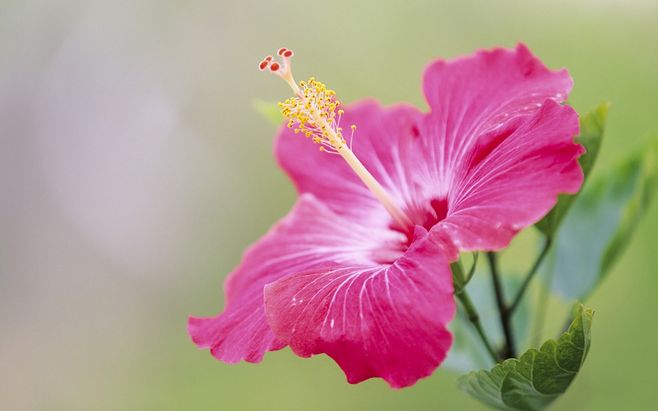 情感回暖 趋向美好 夫妻感情 地支 感情 新浪新闻 情感回暖 趋向美好 夫妻感情 地支 感情 新浪新闻