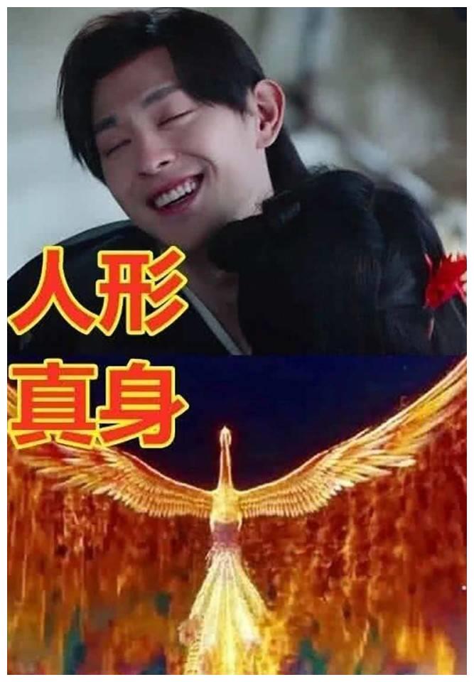 魔尊人形vs真身,旭凤红色凤凰,重楼黑色大鸟,最后一个忍不了飞龙侃车