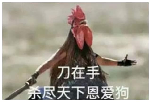 吴京火到<a href=