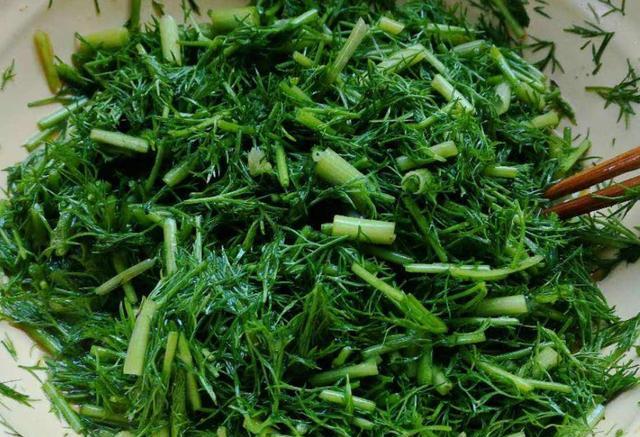 每天吃一盘,清理肠道,排出黑臭宿便,水桶腰悄悄变小蛮腰|茴香|小蛮腰