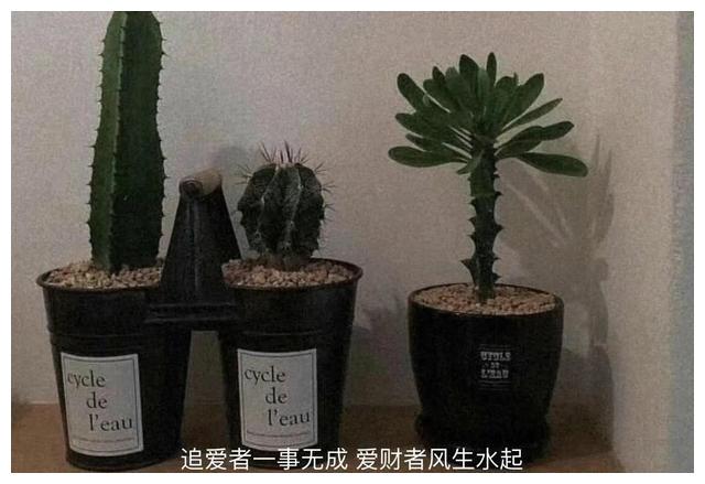 能懂摩羯座的人太少了休闲区蓝鸢梦想 - Www.slyday.coM