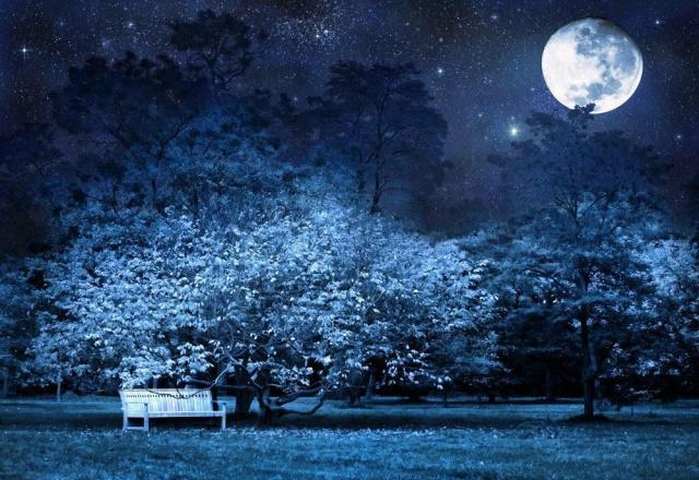 李白:这是我“才华横溢”溢出的唐词,就拿唐词的格式来当题目吧休闲区蓝鸢梦想 - Www.slyday.coM 李白:这是我“才华横溢”溢出的唐词,就拿唐词的格式来当题目吧休闲区蓝鸢梦想 - Www.slyday.coM