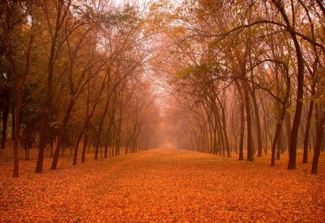 李白:这是我“才华横溢”溢出的唐词,就拿唐词的格式来当题目吧休闲区蓝鸢梦想 - Www.slyday.coM 李白:这是我“才华横溢”溢出的唐词,就拿唐词的格式来当题目吧休闲区蓝鸢梦想 - Www.slyday.coM