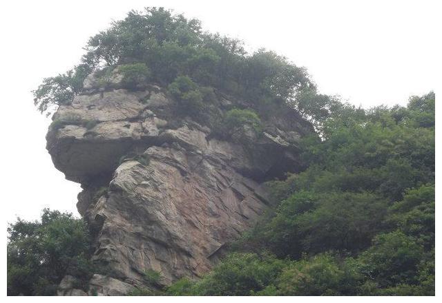 上面这幅图片,明显就是形似虎形的山峰,但此处只有"形",没有"穴"的