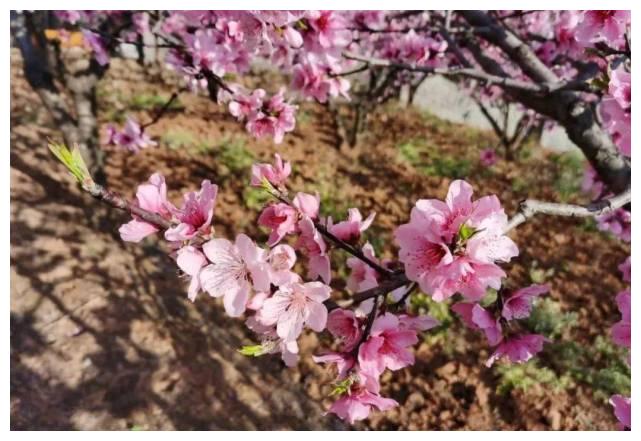 11月26日 11月29日 吃穿不愁 正财大旺 事业乘风破浪的4大生肖