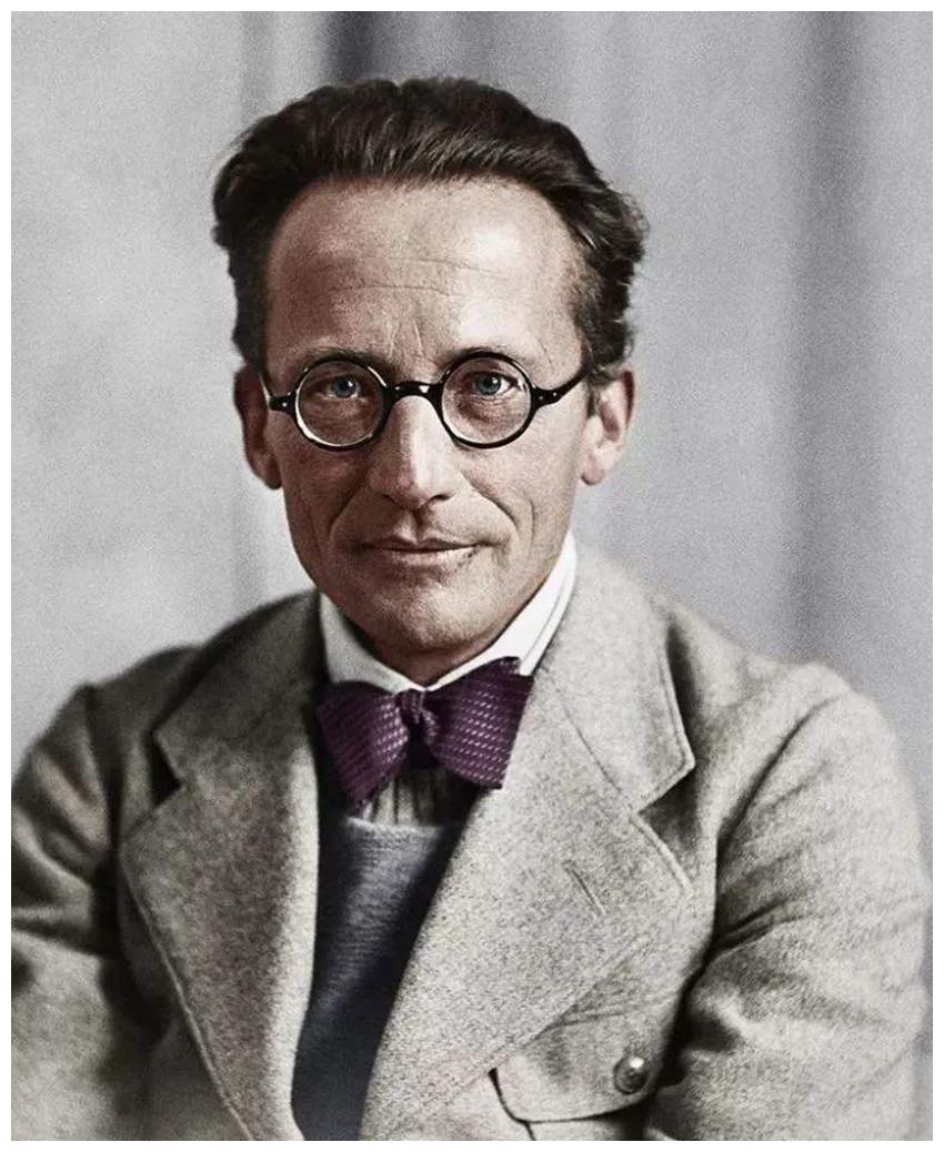 薛定谔的猫电影剧情 王馨瑶演过哪些经典角色