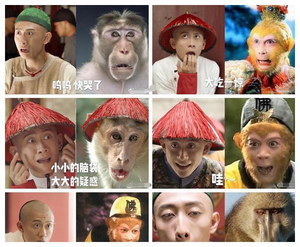 张一山猴子模仿课安排,走起!表情神到位!