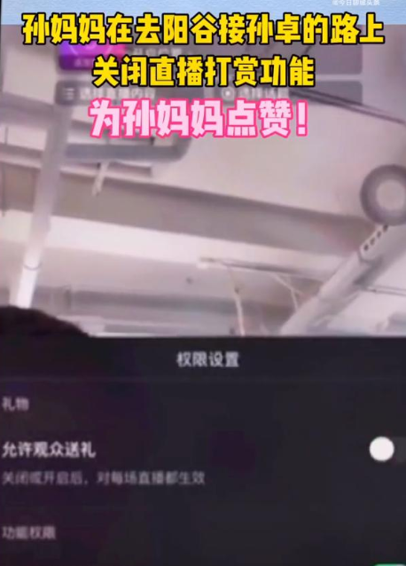 孙海洋长途跋涉接子回家，孙妈妈直播关闭打赏功能，网友要求带货休闲区蓝鸢梦想 - Www.slyday.coM