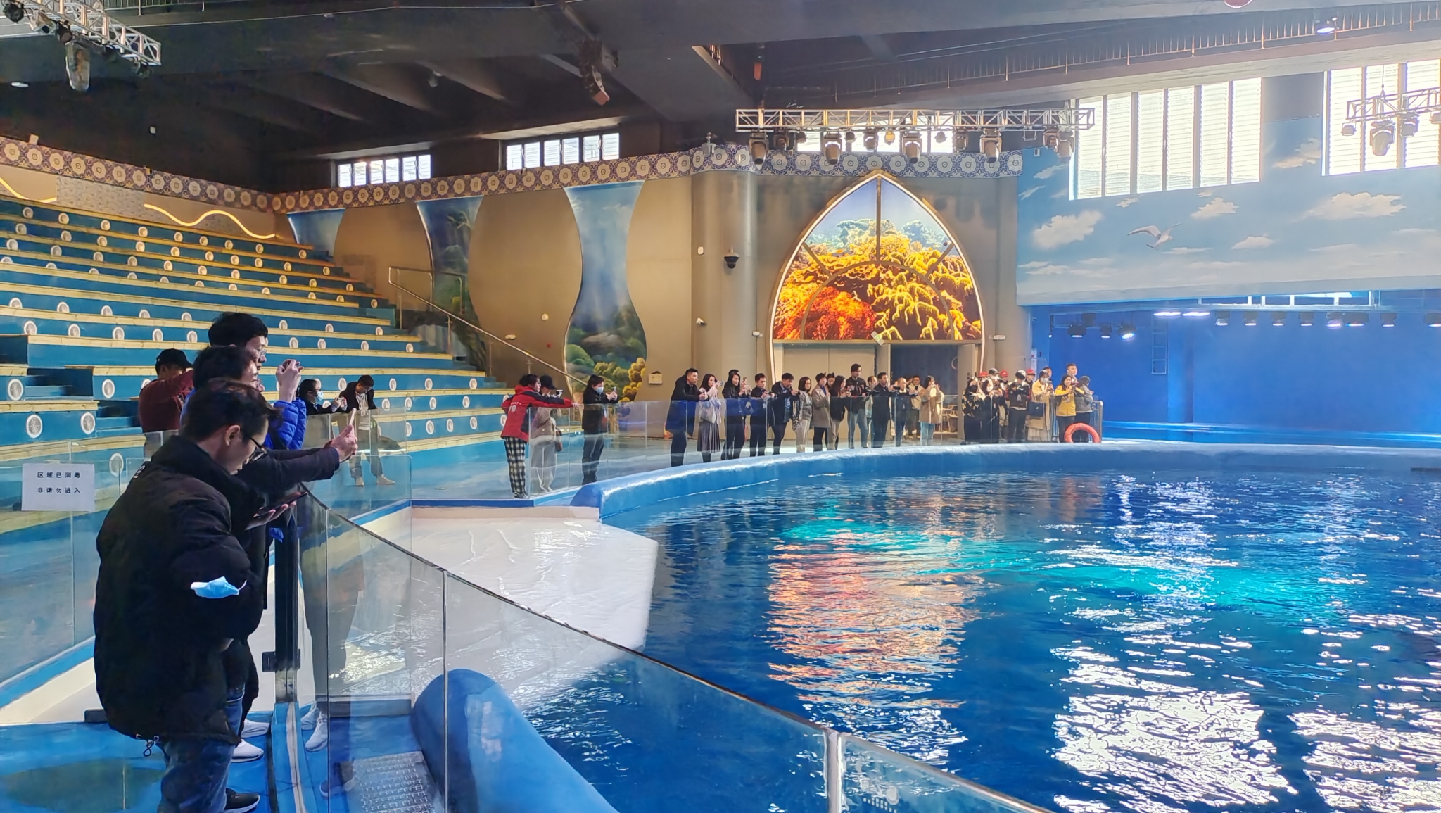 吉安海洋世界首批动物海豚来啦!|海洋世界|吉安|海豚_新浪新闻