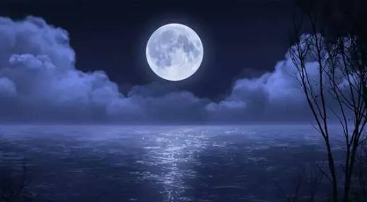 夜月全国空降服务收费标准与详情解析