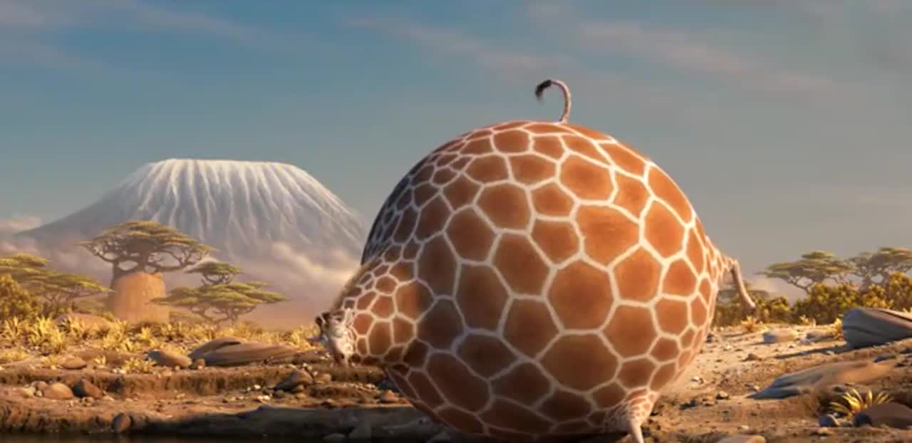 圆滚滚的动物世界太有弹性了