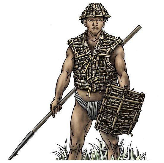 无论是《三国志》也好,《后汉书》也好,根本找不到任何藤甲的记载