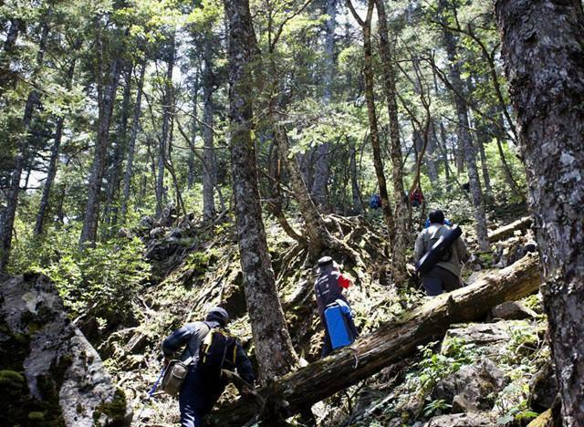 神农架深处,为何会被列为禁区?一神秘现象,至今科学都不能解释休闲区蓝鸢梦想 - Www.slyday.coM 神农架深处,为何会被列为禁区?一神秘现象,至今科学都不能解释休闲区蓝鸢梦想 - Www.slyday.coM