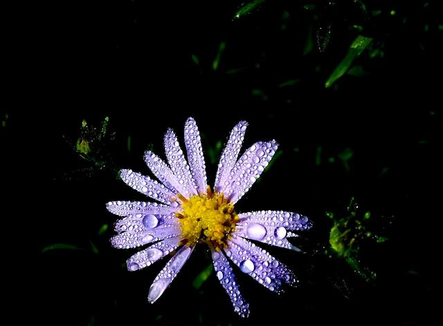 宋代写景高手多有名句传世,这首写小雨的小诗,同样带给人新鲜感休闲区蓝鸢梦想 - Www.slyday.coM 宋代写景高手多有名句传世,这首写小雨的小诗,同样带给人新鲜感休闲区蓝鸢梦想 - Www.slyday.coM