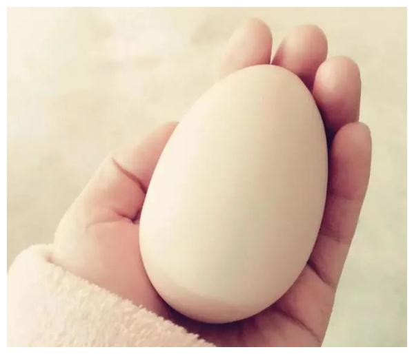 刚学会用微信的爷爷，发了第一条消息，孙女瞬间泪崩……休闲区蓝鸢梦想 - Www.slyday.coM