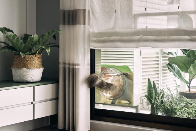 装饰公司案例｜66㎡小空间三房设计，一人一猫生活！