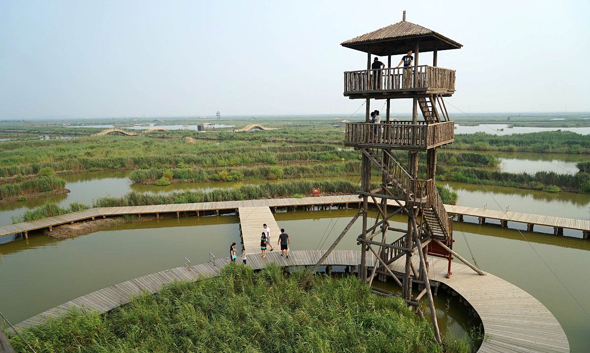 唐山曹妃甸湿地公园_高清图集_新浪网
