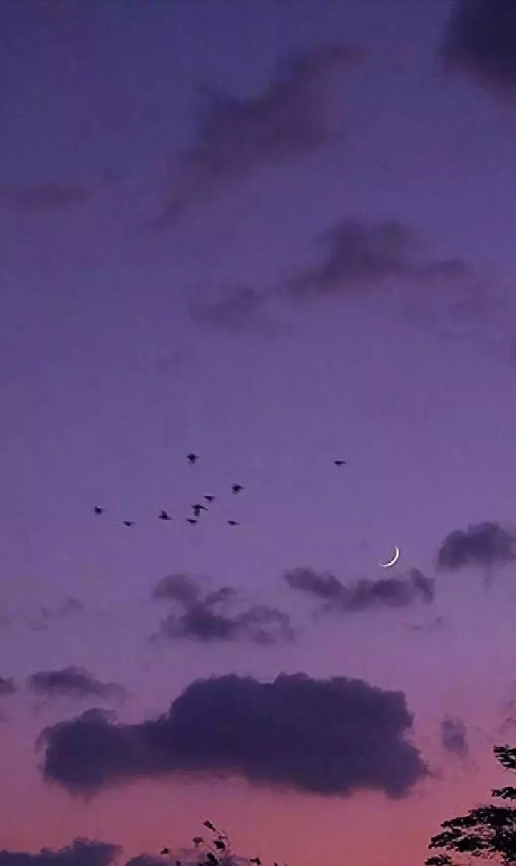 梦幻紫色背景手机高清壁纸