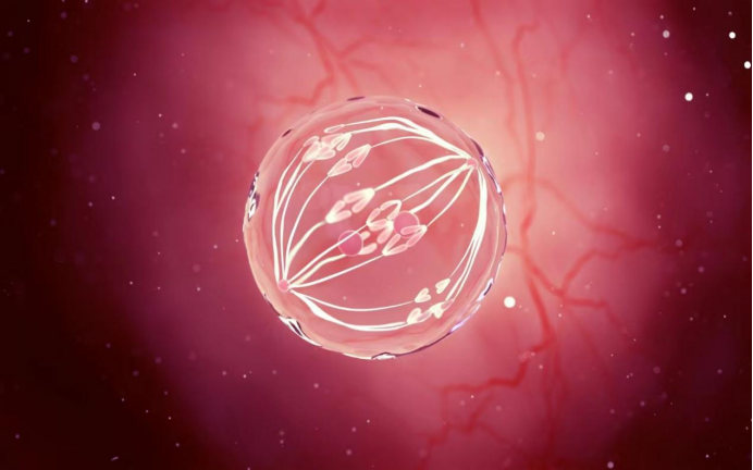 激素六项正常为啥卵泡不长？卵泡长不大怎样调理？