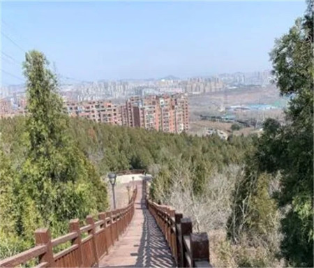 玩遍大连丨踏青赏花好季节,爬山路线送给你~